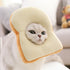 Kitty Toast Headgear Pet Headdress Accessories Funny